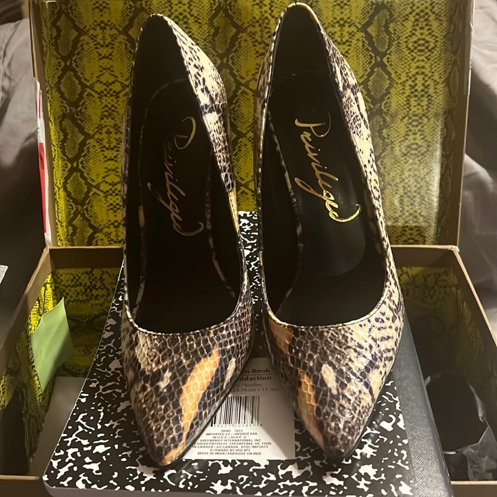 A pair of privileged pumps by J.J. Dossier